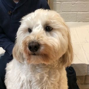 Meet your Posher, Elissa